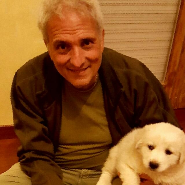 Marco Vignocchi